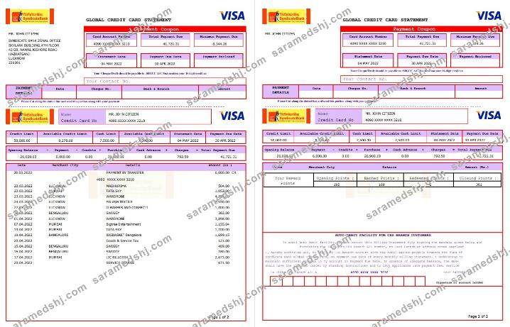 USA Syndicate bank credit card statement 3 pages